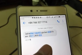 Tin nhắn rác rao bán số điện thoại làm phiền người dùng. (Ảnh minh họa: T.H/Vietnam+)
