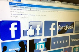 Ảnh chỉ có tính minh họa. (Nguồn: Vietnam+) 