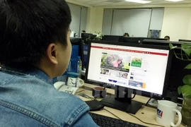 Ảnh chỉ có tính minh họa. (Nguồn: T.H/Vietnam+) 