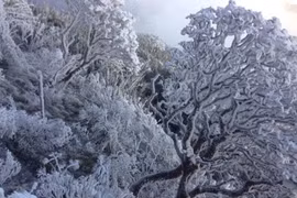 Băng tuyết trên nóc nhà Đông Dương.
