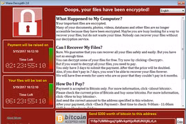 Hình chỉ mang tính minh họa. (Ảnh: malwarebytes.com) 