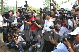 Ảnh chỉ có tính minh họa. (Nguồn: TTXVN) 