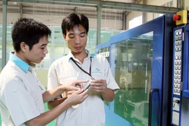 Những năm gần đây, Việt Nam quan tâm nhiều tới sở hữu trí tuệ. (Ảnh minh họa: T.H/Vietnam+)