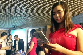 Ảnh chỉ có tính minh họa. (Nguồn: T.H/Vietnam+)