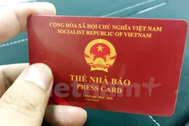 Ảnh chỉ có tính minh họa. (Nguồn: Vietnam+)