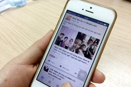 Ảnh chỉ có tính minh họa. (Nguồn: T.H/Vietnam+)