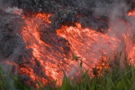 Nham thạch đe dọa cuộc sống của hàng trăm cư dân Hawaii