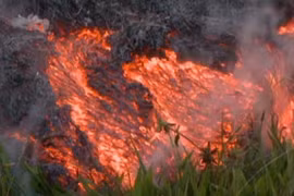 Nham thạch đe dọa cuộc sống của hàng trăm cư dân Hawaii
