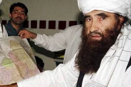 Afghanistan bắt giữ hai thủ lĩnh cấp cao của nhóm Haqqani