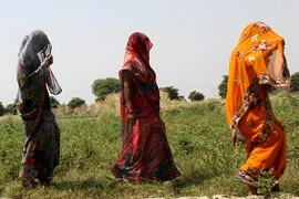 Ít nhất 8 phụ nữ Ấn Độ thiệt mạng sau phẫu thuật triệt sản