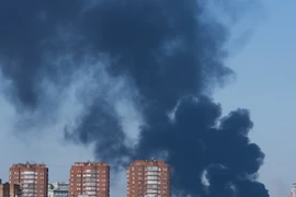 Ukraine: Giao tranh dữ dội xung quanh khu vực sân bay Donetsk