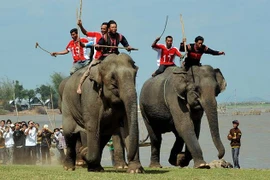 Khám nghiệm tử thi vụ bé trai 12 tuổi bị voi đoàn xiếc quật chết