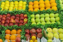 EU yêu cầu WTO giải quyết tranh chấp thương mại với Nga