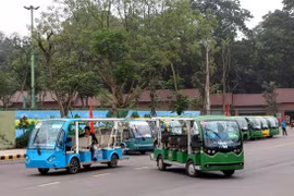 Hơn 60 xe điện đã sẵn sàng phục vụ du khách về với Lễ hội Đền Hùng năm nay. (Ảnh: Trung Kiên/TTXVN)