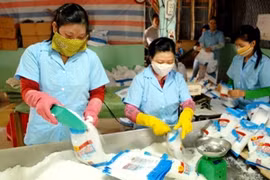 Nhà máy chế biến muối của hợp tác xã muối Tiến Thành công suất đạt 20-25 tấn/ngày. (Ảnh: Mạnh Linh/TTXVN)