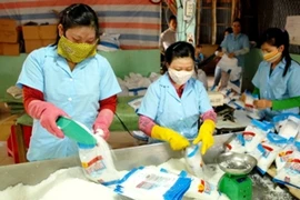 Nhà máy chế biến muối của hợp tác xã muối Tiến Thành công suất đạt 20-25 tấn/ngày. (Ảnh: Mạnh Linh/TTXVN)