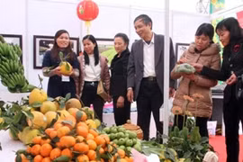 Ảnh minh họa. (Nguồn: Đình Huệ/TTXVN)