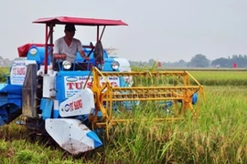 Ứng dụng khoa học kỹ thuật trong sản xuất nông nghiệp. (Ảnh: Đình Huệ/TTXVN)