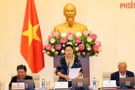 (Ảnh: Trọng Đức/TTXVN)