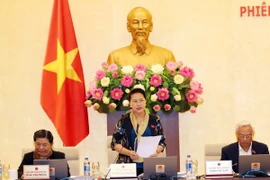 (Ảnh: Trọng Đức/TTXVN)