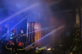 (Ảnh minh họa: Hoàng Ngọc/TTXVN)