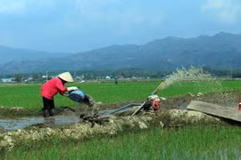 (Ảnh minh họa: Phan Tuấn Anh/TTXVN)