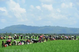 Người Rohingya chạy trốn xung đột từ Rakhine tới khu vực Palongkhali gần Ukhia, Bangladesh ngày 16/10/2017. (Nguồn: AFP/TTXVN)