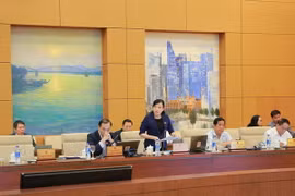 Trưởng Ban Dân nguyện của Quốc hội Nguyễn Thanh Hải phát biểu. (Ảnh: Dương Giang/TTXVN)