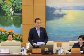 Chủ nhiệm Ủy ban Kinh tế của Quốc hội Vũ Hồng Thanh trình bày báo cáo thẩm tra. (Ảnh: Dương Giang/TTXVN)