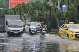 (Ảnh minh họa: Bùi Giang/TTXVN)