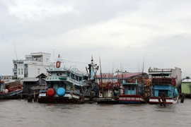 (Ảnh minh họa: Kim Há/TTXVN)