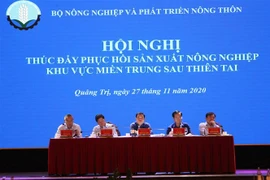 Quang cảnh hội nghị. (Ảnh: Thanh Thủy/TTXVN)