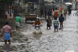 Nivar được xếp là cơn bão có sức tàn phá nghiêm trọng. (Nguồn: indianexpress.com)