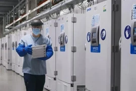 Các tủ bảo quản vắcxin ngừa dịch viêm đường hô hấp cấp COVID-19 đòi hỏi nhiệt độ siêu lạnh. (Ảnh: Reuters/TTXVN)