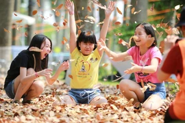 Một không gian trò chơi rất mới lạ được thiết kế từ những vật dụng tái chế hết sức quen thuộc dành cho các em nhỏ đã được tổ chức tại Công viên Hồ Thiên Nga - Ecopark. (Ảnh: PV/Vietnam+)