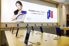 Ảnh chỉ có tính minh họa. (Nguồn: Vietnam+)