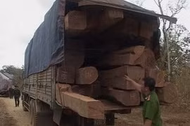 Ảnh minh họa. (Ảnh: V.Dũng/Vietnam+)