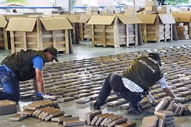 Đặc nhiệm Colombia thu giữ hơn một tấn cocain 