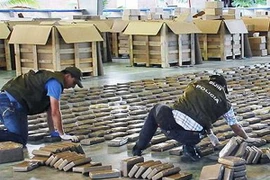 Đặc nhiệm Colombia thu giữ hơn một tấn cocain 