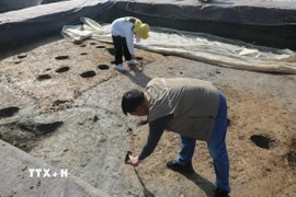 Ảnh minh họa.(Nguồn: TTXVN)