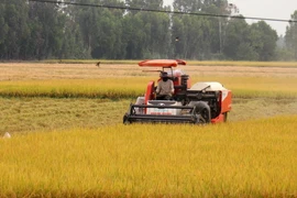 Nông dân thu hoạch lúa tại xã Mỹ Lâm, huyện Hòn Đất (Kiên Giang). (Ảnh: Lê Huy Hải/TTXVN)