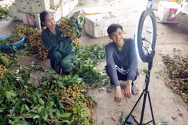 Người nông dân đẩy mạnh quảng bá, kết nối tiêu thụ nông sản qua các sàn thương mại điện tử. (Ảnh: Quang Quyết/TTXVN) 