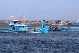 Tàu cá ở cửa sông Dương Đông, thành phố Phú Quốc (Kiên Giang). (Ảnh: Lê Huy Hải/TTXVN)