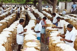 Ảnh chỉ có tính minh họa. (Nguồn: hindu.com)