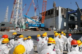 Nhà máy hạt nhân Fukushima số 1. (Nguồn: AFP)