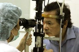 (Ảnh minh họa của Dương Ngọc/TTXVN)