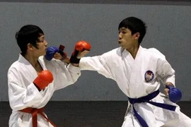 Ảnh minh họa. (Nguồn: Ngọc Trường/TTXVN)