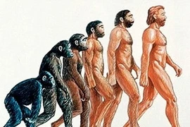 Ảnh chỉ mang tính minh họa.