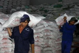 Bốc xếp gạo vừa chế biến sau khi mua tạm trữ tại Công ty Cổ phần Lương thực Hậu Giang. (Ảnh: Duy Khương/TTXVN)