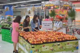 (Ảnh: Phương Anh/TTXVN) 